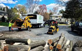 Best Storm Damage Tree Cleanup  in South Fulton, GA