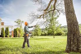 Best Weed Control  in South Fulton, GA